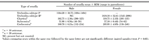 Estimated mean number of sensilla on the antennae of Z. dixolophella